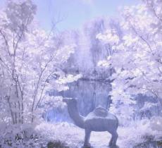 仰山公园