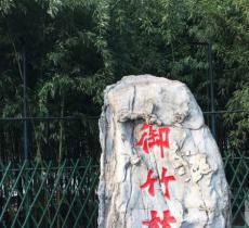 御竹林