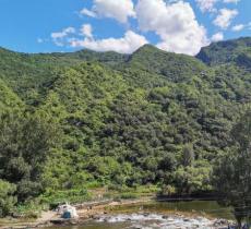 白河湾双文铺