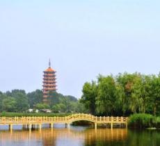 妫河森林公园