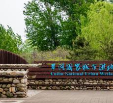 翠湖湿地公园
