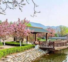 静之湖森林公园