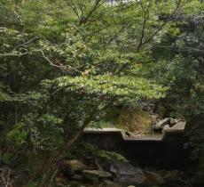 鸣弦泉