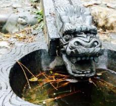 胜泉亲水湾旅游景区