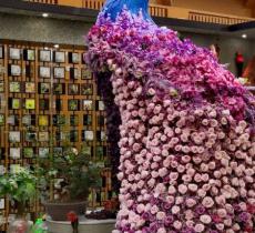 花博园