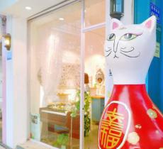 猫咪博物馆