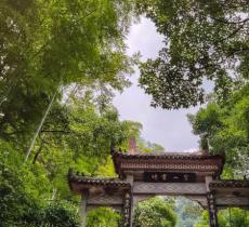 圣灯山森林公园