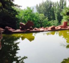 胜泉庵