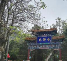 乐佛寺