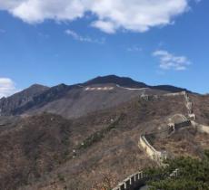 鹰飞倒仰