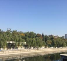 玉蜓公园