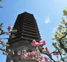 玲珑塔（八里庄塔）