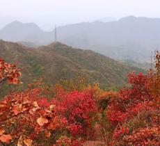 菩萨山