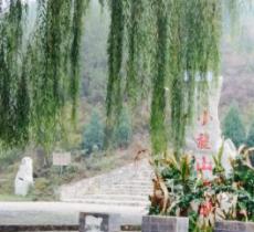 小龙山公园