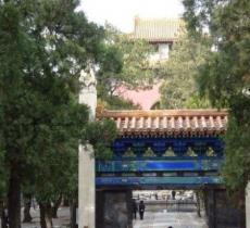 北京地下城