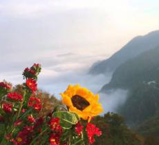 百花谷风景区