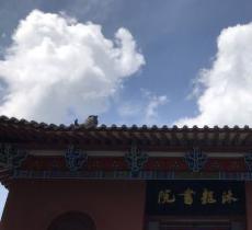 木龙寺遗址