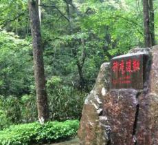 神鹰护鞭
