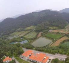 南山森林公园