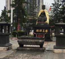 安国市中药材国贸中心广场