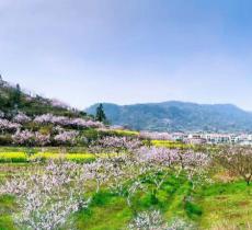 沼山乡村公园