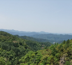 天露山林场