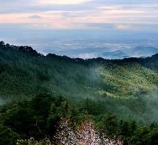 湖北三角山旅游度假区