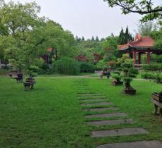 青山公园