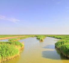 曹妃甸湿地公园
