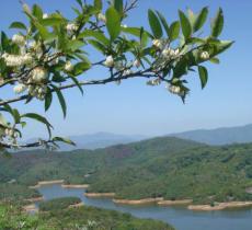 鲁珠坝水库