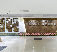 西南医科大学附属中医医院中医药...