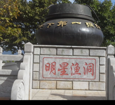 明星鱼洞
