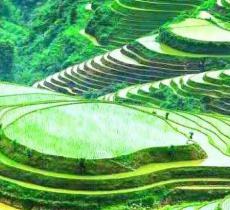 绿春哈尼梯田