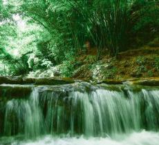 川西竹海景区