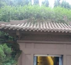 王建墓