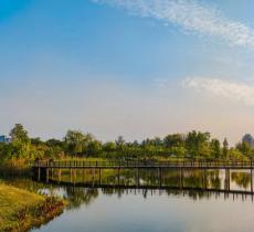 东坡城市湿地公园