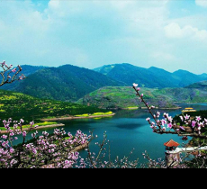 梅湾湖风景区