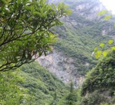 鱼泉山风景区