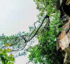 狮子山旅游区