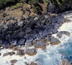 白水河