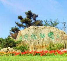 日照植物园