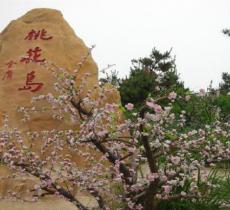 桃花岛风情园