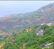 平掌子村