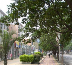 仁和区宝灵街步行街