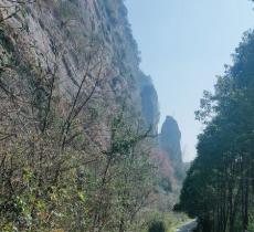 狮岭村