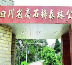 高石梯森林公园