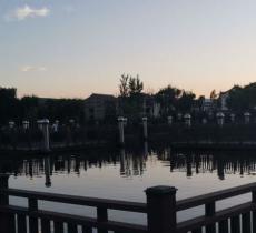 杞麓湖湿地