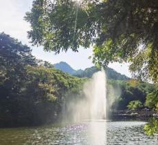 嘉阳桫椤湖旅游景区