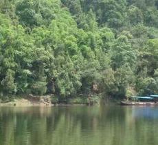 清水湖湿地公园