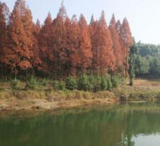 白云山风景区